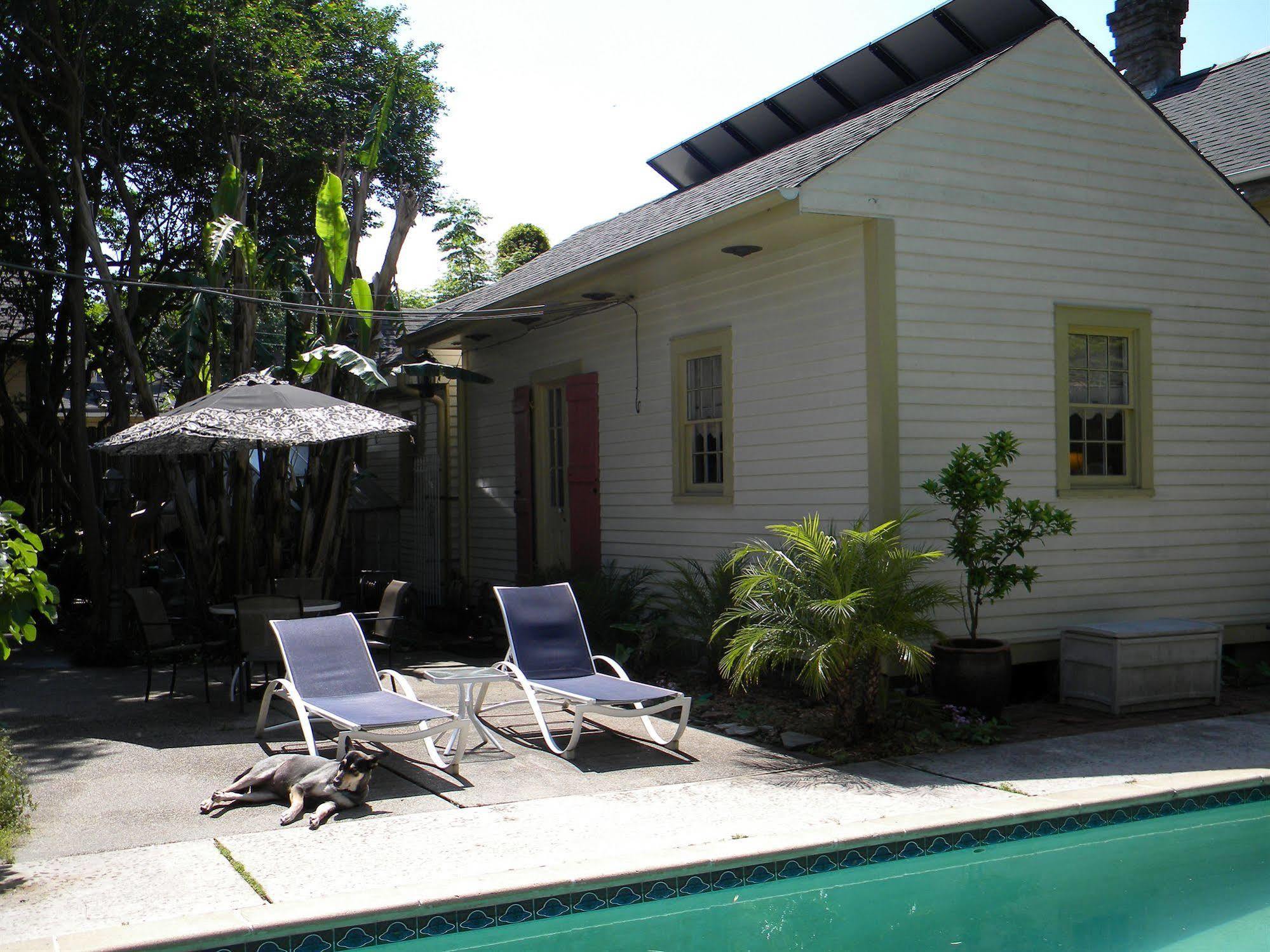 Maison De Macarty Bed and Breakfast New Orleans Eksteriør billede
